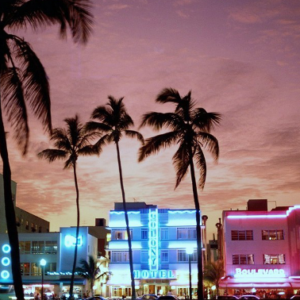 Jlo Miami Dreams